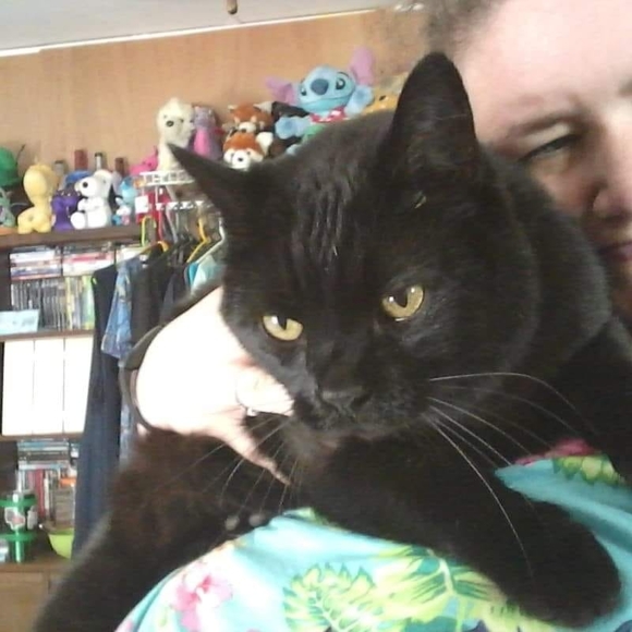 Meet your Posher, Crystal - Picture 1 of 1